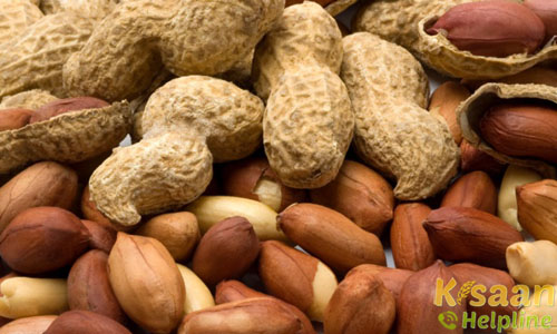 गिरनार-2 (Girnar-2)